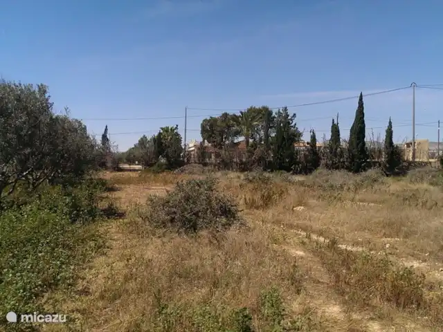 finca huren in Spanje, Costa Blanca, Crevillente – Alicante Finca Lucky Met andere familie leden komen met Camper en of caravan op ons zijterrein