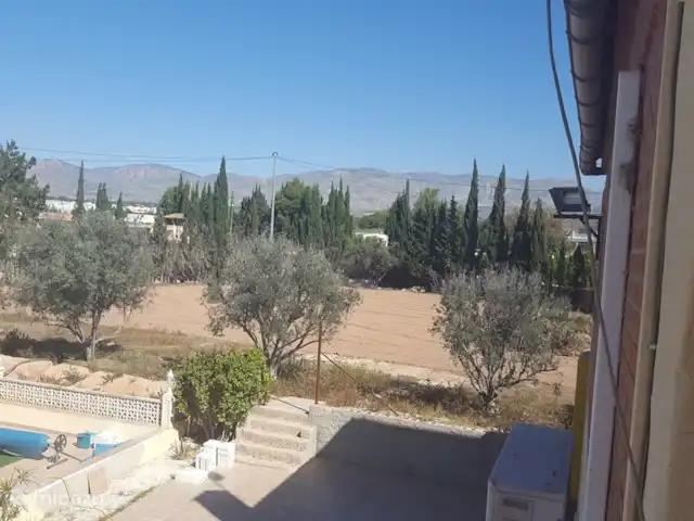 finca huren in Spanje, Costa Blanca, Crevillente – Alicante Finca Lucky Wij hebben vijgen- , olijf- ,sinasappels- en citroen bomen