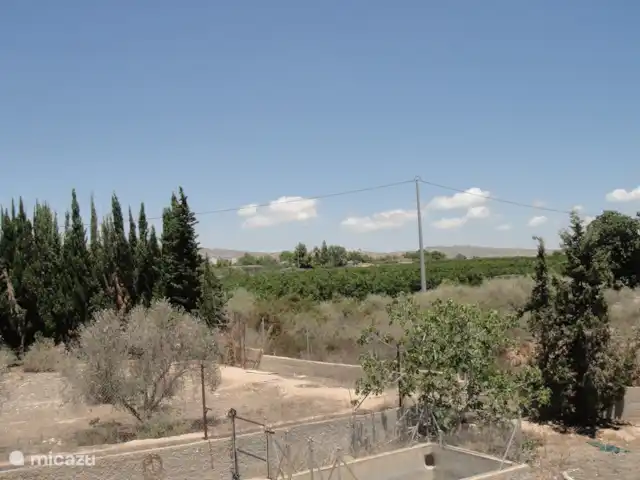 finca huren in Spanje, Costa Blanca, Crevillente – Alicante Finca Lucky Zicht op de zijkant en de buren een sinasappelboomgaard