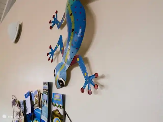 Villa directamente en la playa de Blue Bay en Curazao, Curazao Centro, Blue Bay - villa ¡Hemos recopilado folletos y tarjetas de presentación de los mejores restaurantes y las mejores actividades para ti!