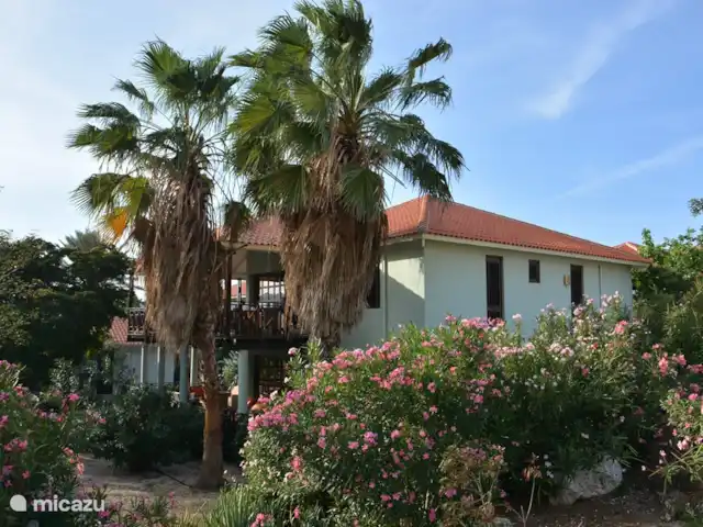 Villa directamente en la playa de Blue Bay en Curazao, Curazao Centro, Blue Bay - villa ¡Estás protegido y privado en la terraza!