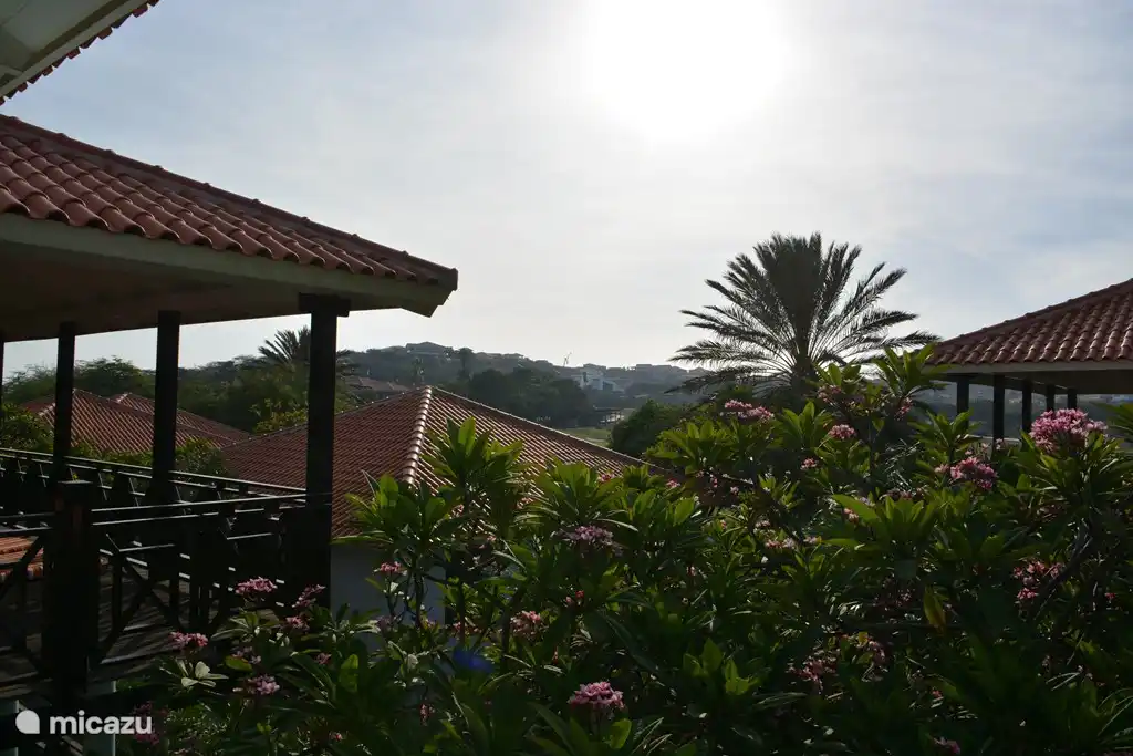 Beautiful sunset from the villa!