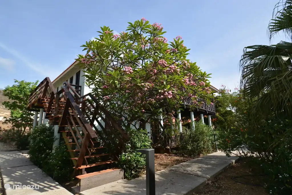 The stairs to the villa!