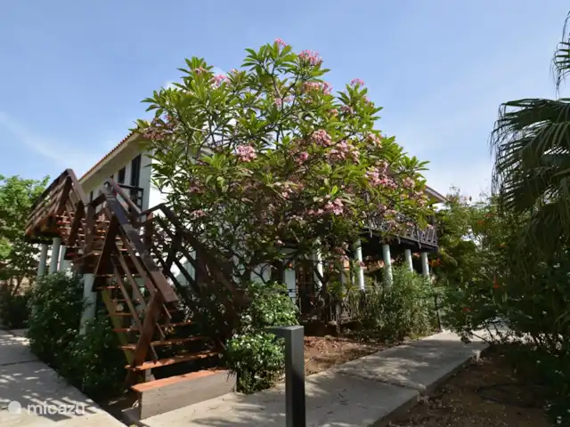 Villa directamente en la playa de Blue Bay en Curazao, Curazao Centro, Blue Bay - villa Las escaleras a la villa!