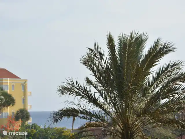 Villa directamente en la playa de Blue Bay en Curazao, Curazao Centro, Blue Bay - villa ¡A pesar de la gran vegetación, hay algunos lugares en la terraza y algunas vistas al mar desde la sala de estar!
