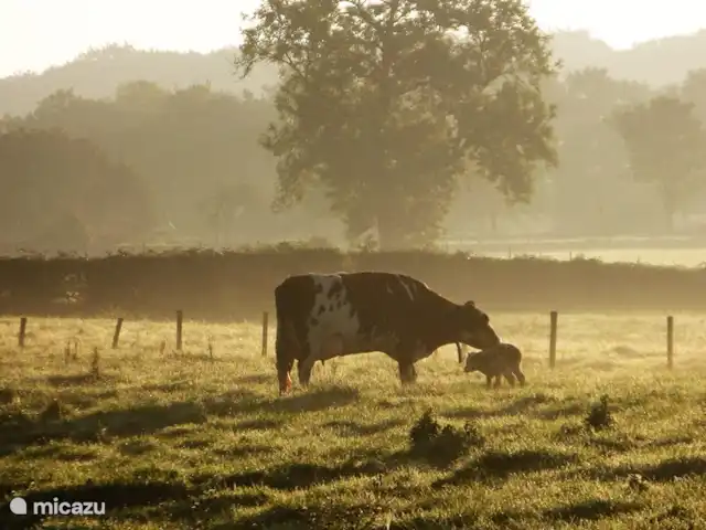 Huize Terziet huren in Nederland, Limburg, Epen - vakantiehuis directe omgeving