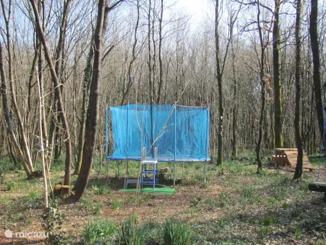 Petit Borée | France, Vendée, La Réorthe - maison de vacances La forêt d'escalade et de jeux