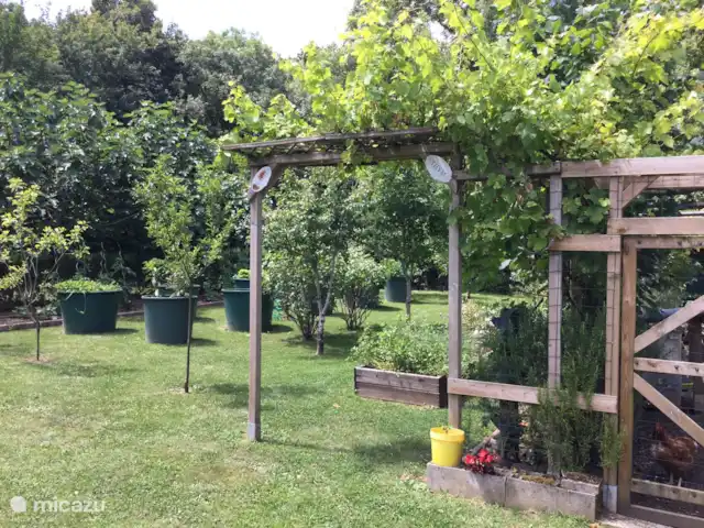 Petit Borée | France, Vendée, La Réorthe - maison de vacances Le potager