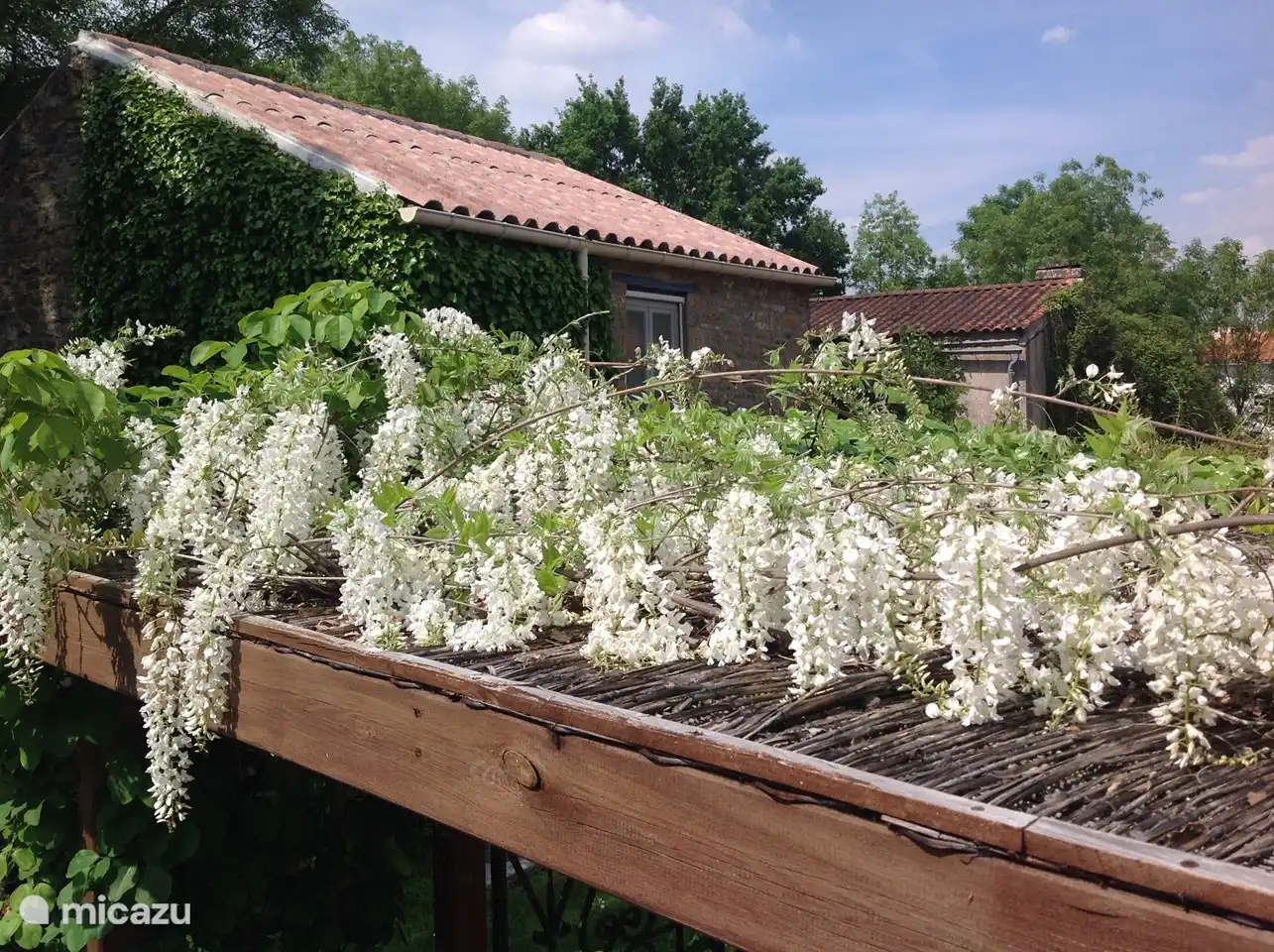 Frühling in La Forêt