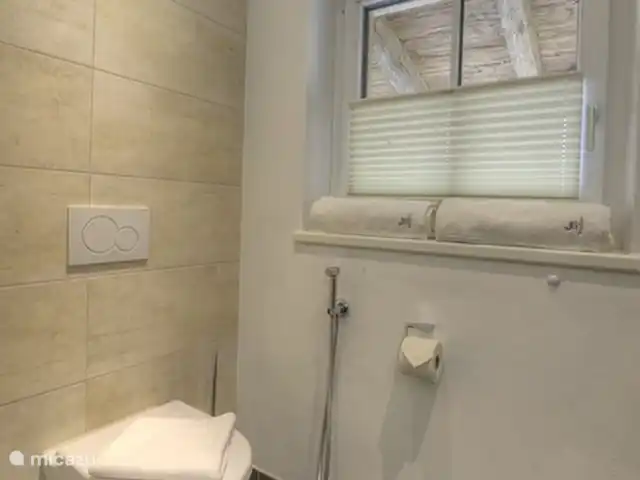 Deer and Dear Luxury Chalet, App. A en Austria, Salzburgo, Piesendorf - apartamento Los baños tienen su propio inodoro.