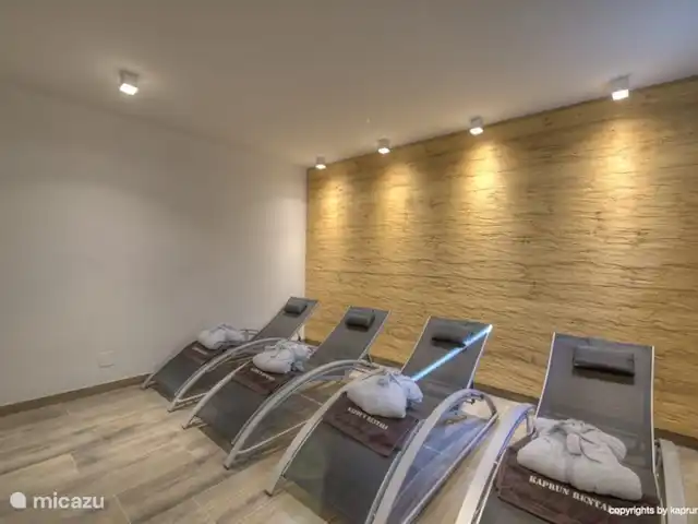 Deer and Dear Luxury Chalet, App. A en Austria, Salzburgo, Piesendorf - apartamento ¡Simplemente relájese después de una ronda de sauna y luego vuelva a la sauna!