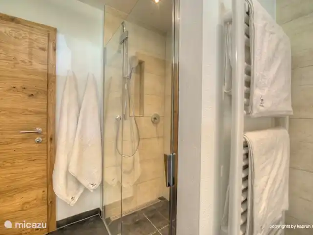 Deer and Dear Luxury Chalet, App. A en Austria, Salzburgo, Piesendorf - apartamento Otro vistazo a 1 de los tres lujosos baños.