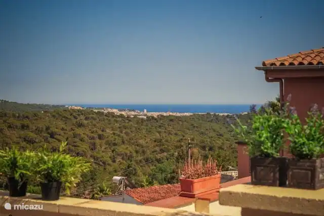 Terrasse mit Meerblick