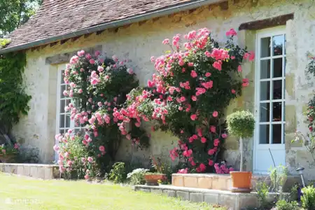 Vacation rental France, Dordogne, Muguet holiday house La Bergerie -