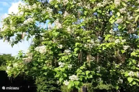 Vacation rental France, Dordogne, Muguet holiday house La Bergerie -