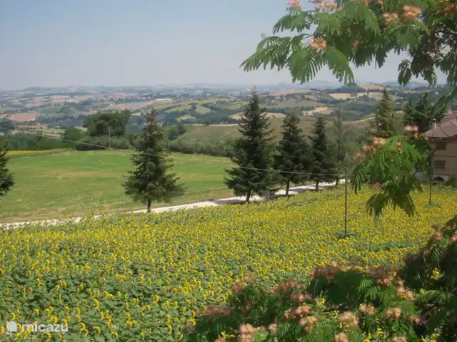 Casa Vista Verde | Italie, Marche, Montelparo - maison de vacances vue de la terrasse
