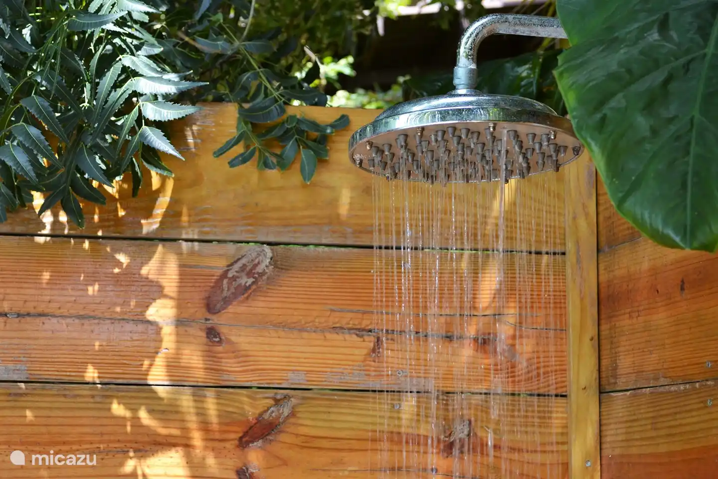 Hay dos duchas al aire libre en el jardín tropical,