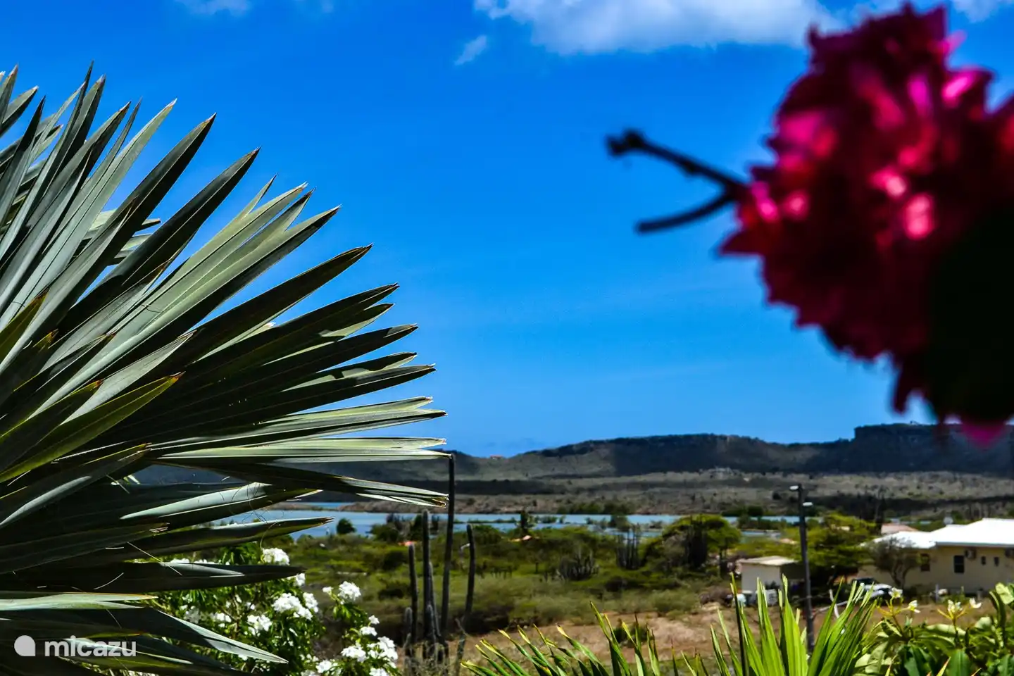Desde la terraza del apartamento hay una hermosa vista de las salinas de Jan Kok.