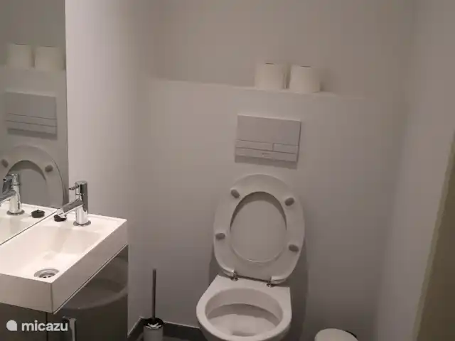 Maison de vacances de luxe 15 pers - Ardennes | Belgique, Ardennes, Vresse-sur-Semois - maison de vacances toilettes au rez-de-chaussée