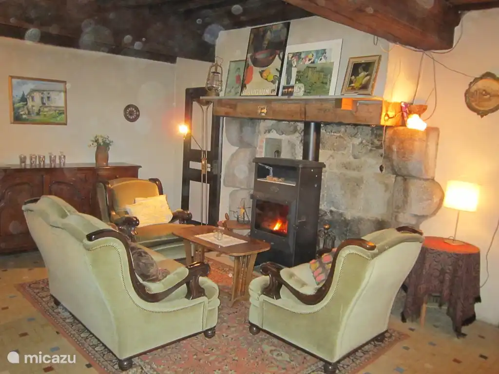 salon avec poêle à bois