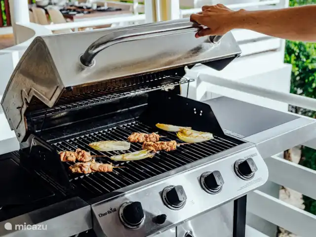 Ç Ver Villa en Curazao, Banda Arriba (este), Bapor Kibra - casa vacacional Parilla