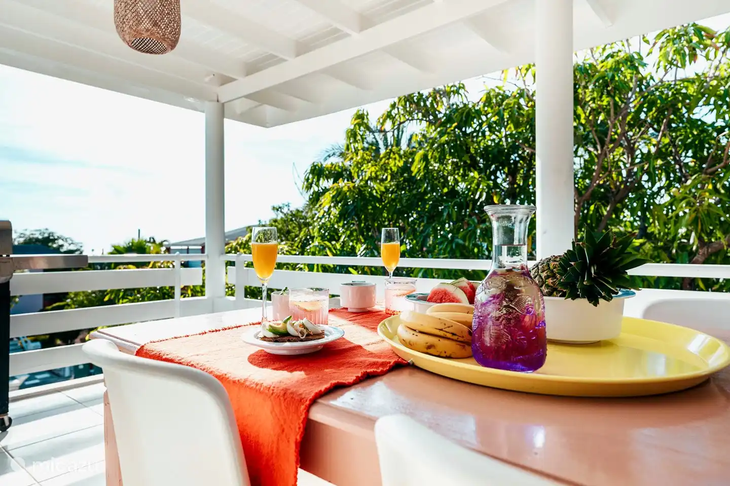 Large mango tree next to the porch.