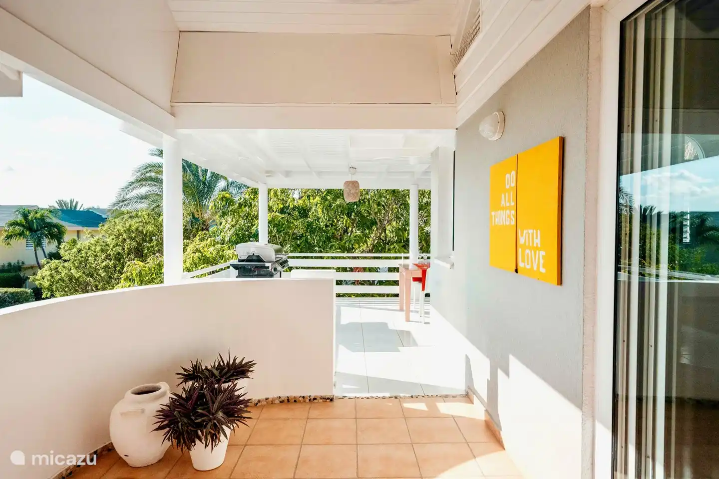 View of the large mango tree.