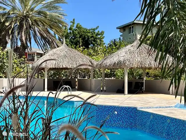 Ç Ver Villa en Curazao, Banda Arriba (este), Bapor Kibra - casa vacacional Área de piscina.