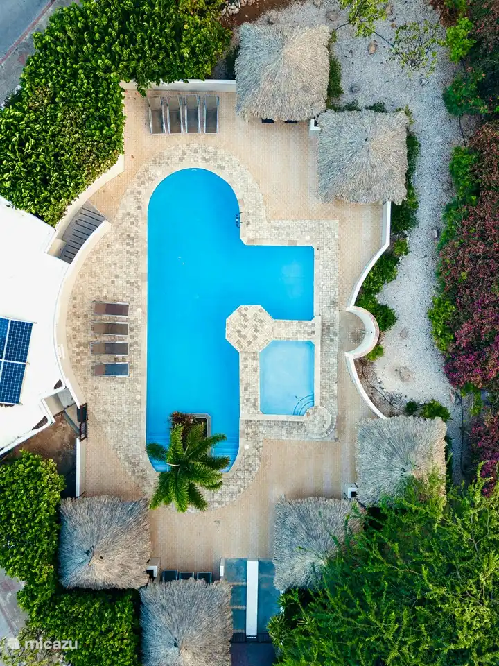 Recently renovated resort pool!