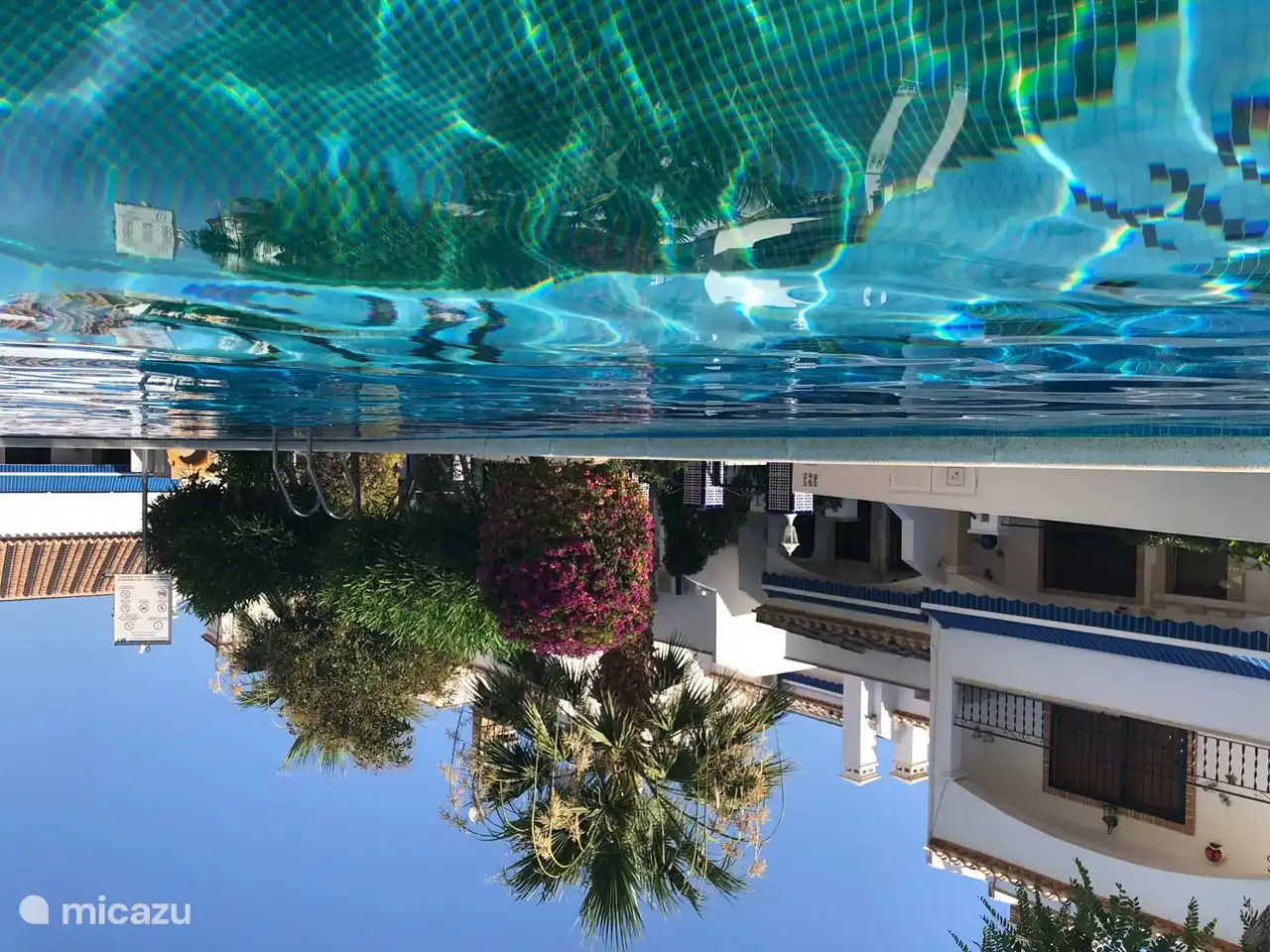 Gezamenlijk zwembad met ligweide en douches.