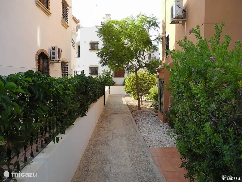 Mooie goed onderhouden groenvoorziening op het complex