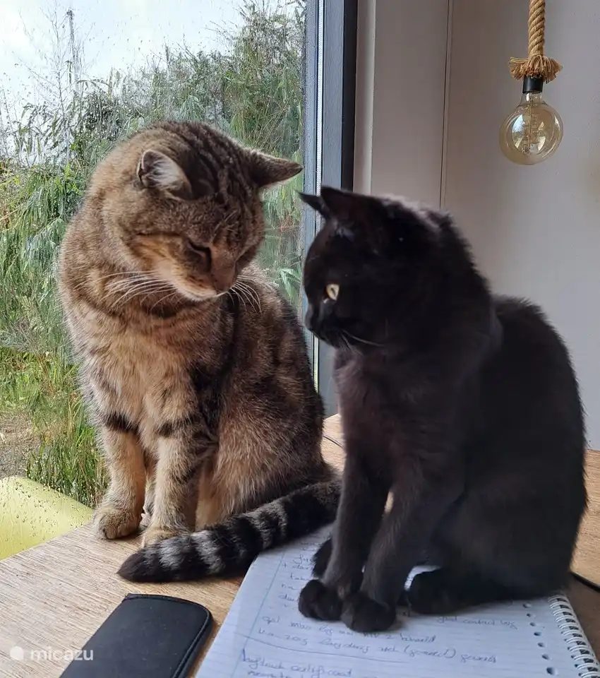 Anfitriones/propietarios :-)