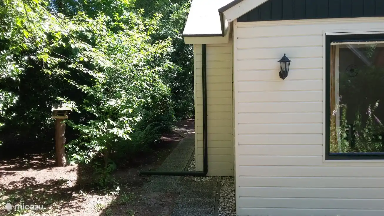 Viele verschiedene Vögel und auch Erbsenkäfer leben dort 