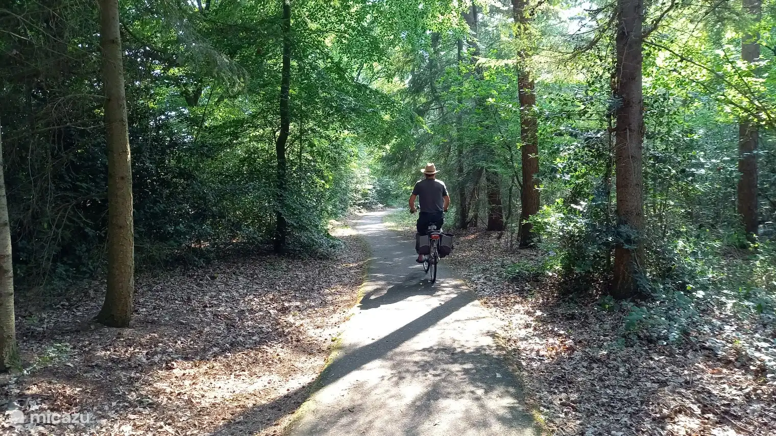 Schönes Radfahren durch den Wald. 