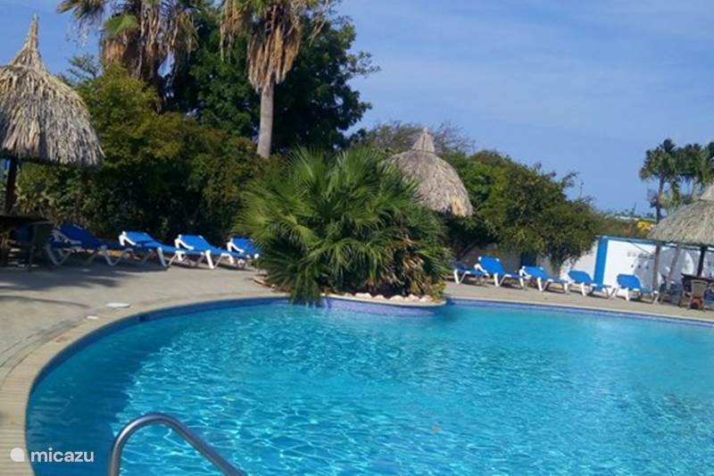 Ferienwohnung Curaçao, Banda Ariba (Ost), Seru Coral Appartement Dushi Violet Seru Coral Resort