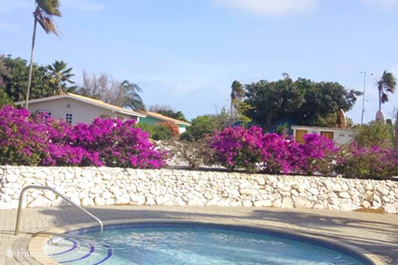 Ferienwohnung Curaçao, Banda Ariba (Ost), Seru Coral Appartement Seru Coral Resort-Wohnung