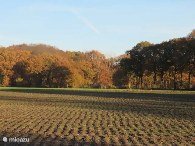Appartement familial 't Vrielinck | Pays-Bas, Overijssel, Hezingen - maison de vacances Vue sur les cendres