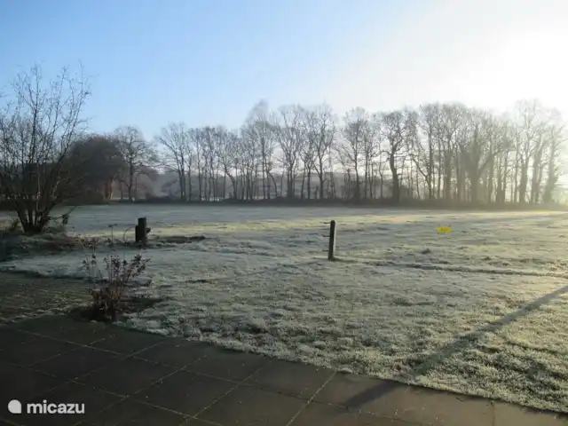 Appartement familial 't Vrielinck | Pays-Bas, Overijssel, Hezingen - maison de vacances Vue de la propriété.