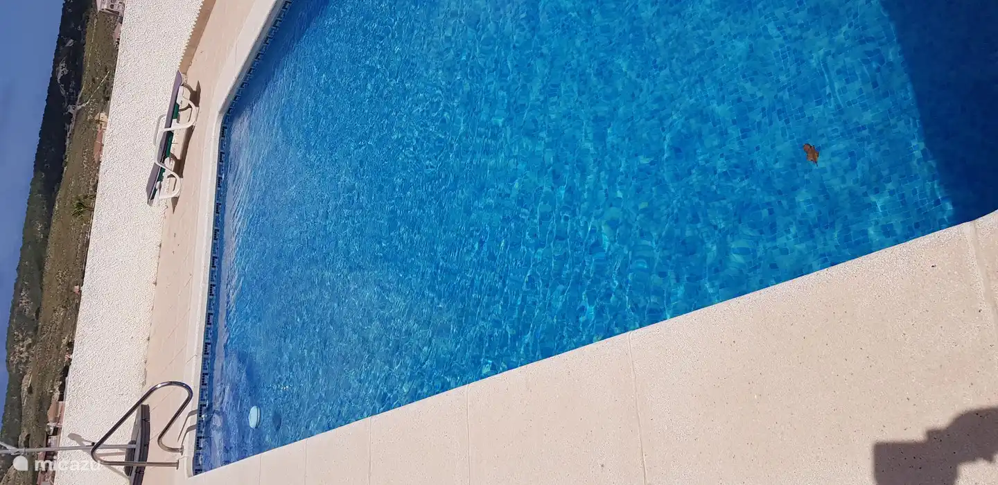 zwembad in de zon met helder schoon water