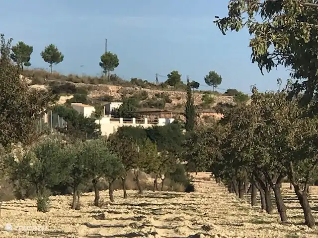 Location de Vacances Espagne, Costa Blanca, Hondón de las Nieves, maison de vacances - Cueva La Canalosa Entouré de champs d'amandiers.