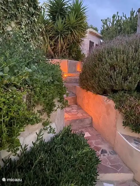 Bonito jardín mediterráneo