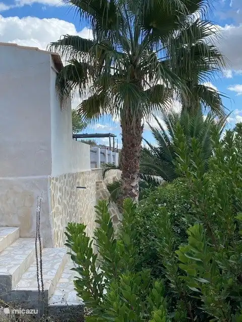 Ambiente agradable a cualquier hora del día