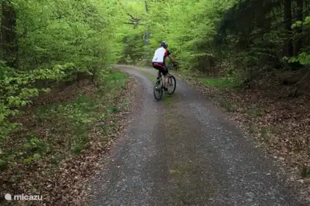 FIETSEN