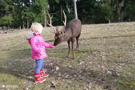 KINDERACTIVITEITEN