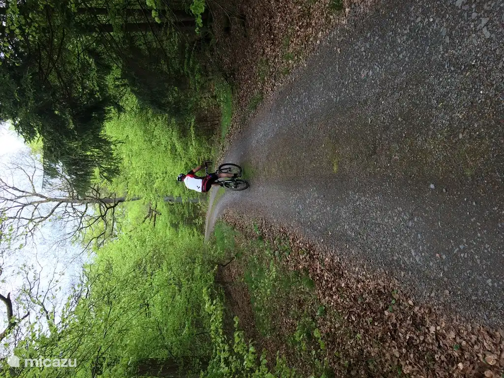 Mountainbiken direkt von der Hütte in den Wald!