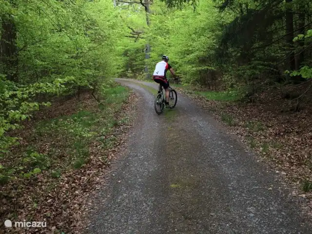 *Bosrijk* Kellerwald Edersee Unesco huren in Duitsland, Sauerland, Frankenau - vakantiehuis Mountainbiken direct vanuit het huisje het Kellerwald in!