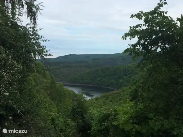 *Bosrijk* Kellerwald Edersee Unesco huren in Duitsland, Sauerland, Frankenau - vakantiehuis Vanuit het huisje door het Kellerwald tot aan de Edersee met de mountainbike - mei