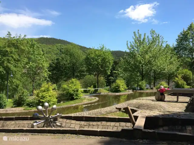 *Bosrijk* Kellerwald Edersee Unesco huren in Duitsland, Sauerland, Frankenau - vakantiehuis Waterpark Edersee Hemfurth