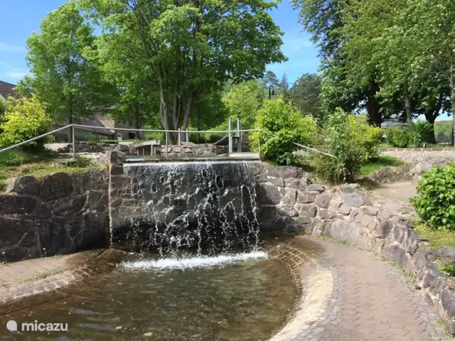 *Bosrijk* Kellerwald Edersee Unesco huren in Duitsland, Sauerland, Frankenau - vakantiehuis Waterpark Edersee Hemfurth