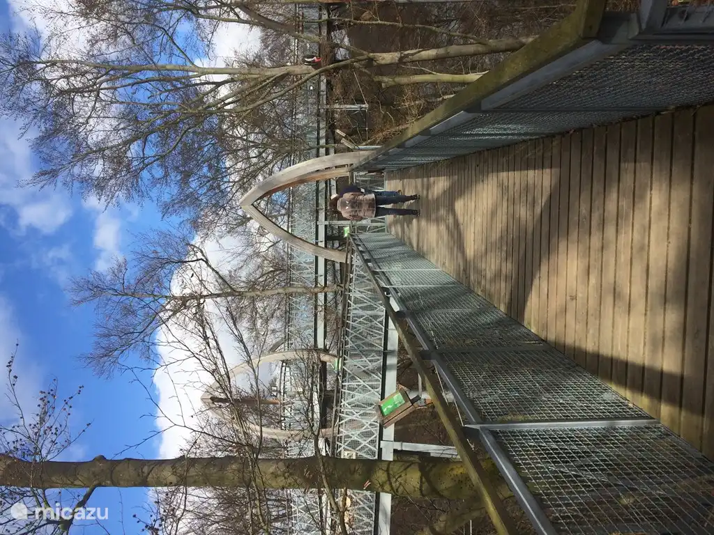 Baumwipfelpfad - Edersee Südseite